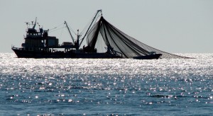 Fishing at industrial level