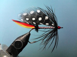 To fish with the fly